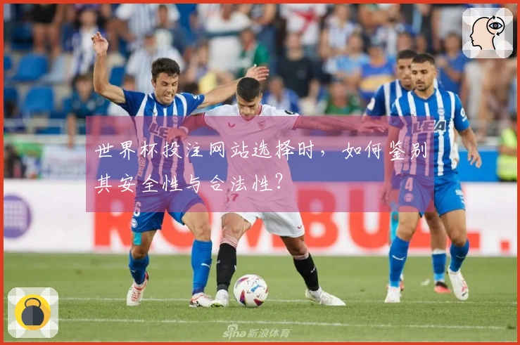 世界杯投注网站选择时，如何鉴别其安全性与合法性？
