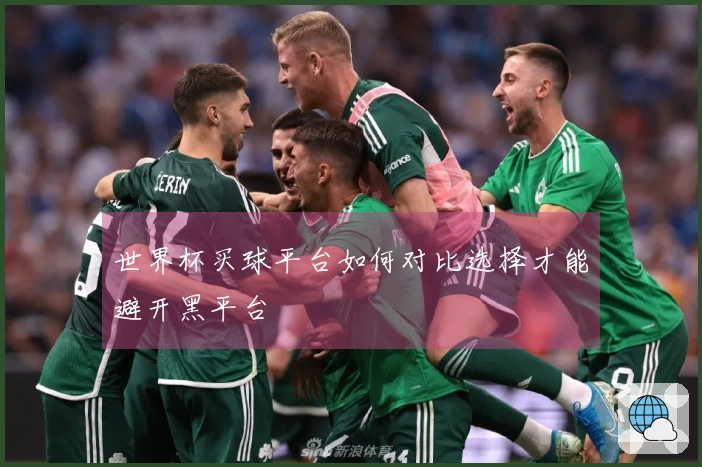 世界杯买球平台如何对比选择才能避开黑平台