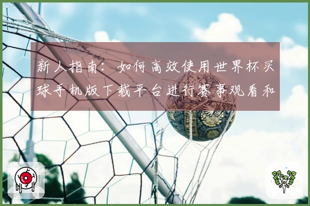 新人指南：如何高效使用世界杯买球手机版下载平台进行赛事观看和互动