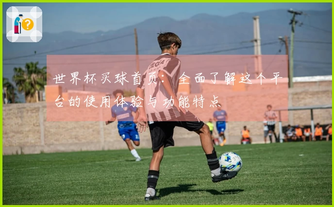 世界杯买球首页:全面了解这个平台的使用体验与功能特点