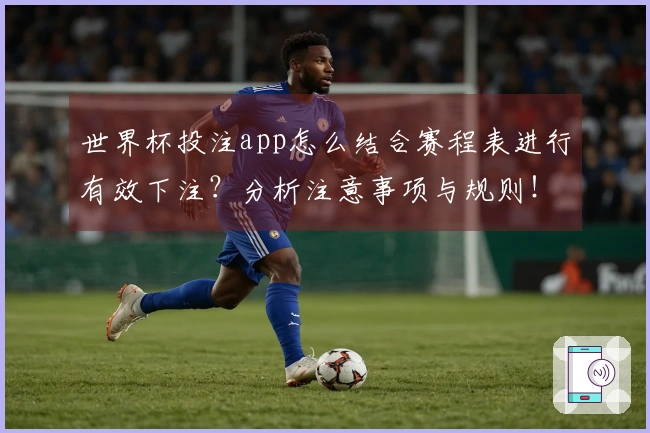 世界杯投注app怎么结合赛程表进行有效下注？分析注意事项与规则！
