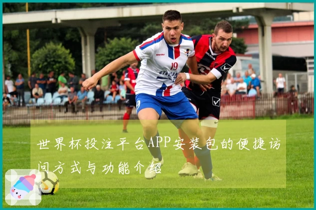 世界杯投注平台APP安装包的便捷访问方式与功能介绍