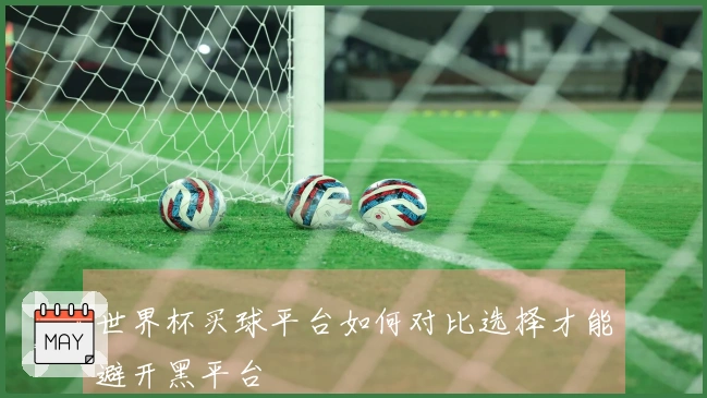 世界杯买球平台如何对比选择才能避开黑平台