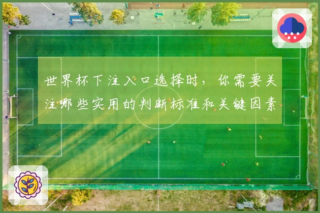 世界杯下注入口选择时，你需要关注哪些实用的判断标准和关键因素？