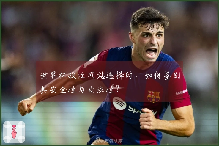 世界杯投注网站选择时，如何鉴别其安全性与合法性？