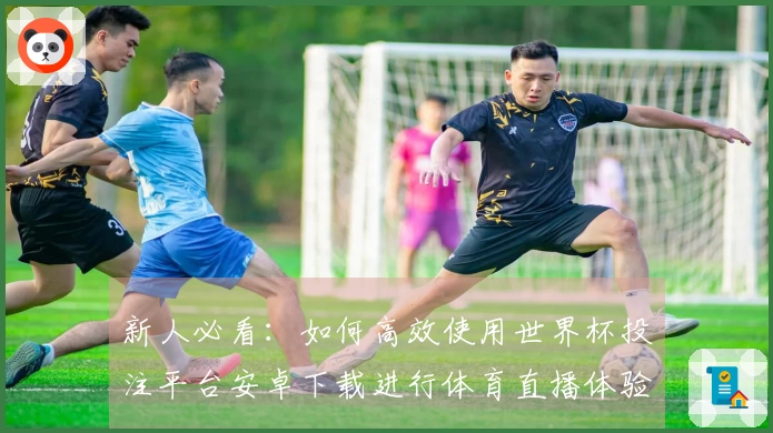 新人必看：如何高效使用世界杯投注平台安卓下载进行体育直播体验