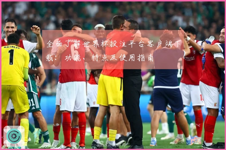 全面了解世界杯投注平台客户端下载：功能、特点及使用指南