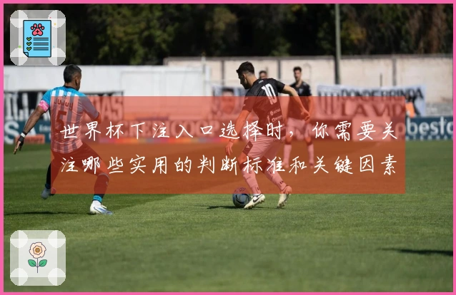 世界杯下注入口选择时，你需要关注哪些实用的判断标准和关键因素？