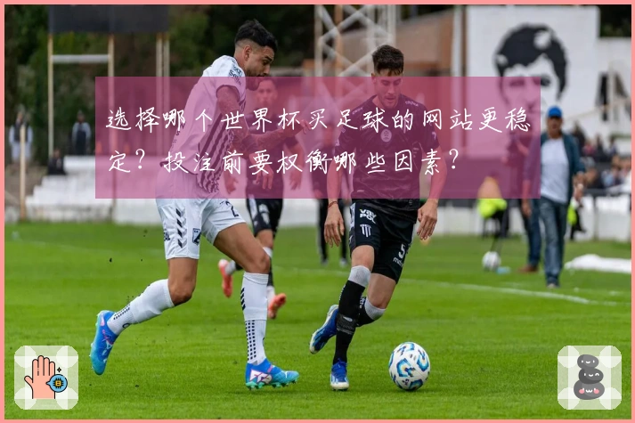 选择哪个世界杯买足球的网站更稳定?投注前要权衡哪些因素?