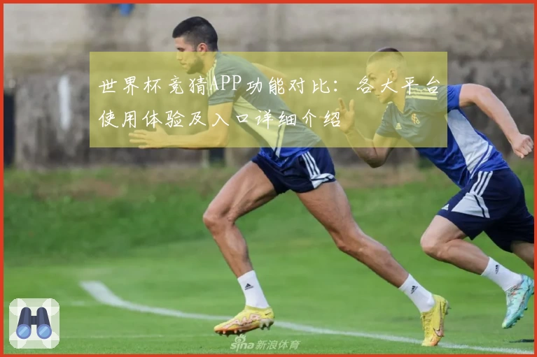 世界杯竞猜APP功能对比:各大平台使用体验及入口详细介绍