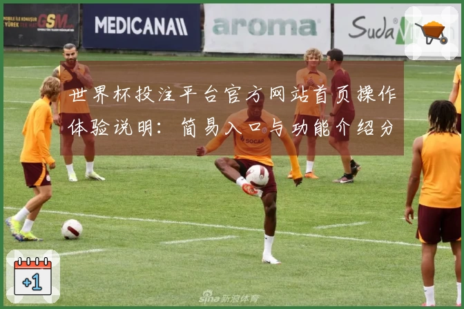 世界杯投注平台官方网站首页操作体验说明：简易入口与功能介绍分析