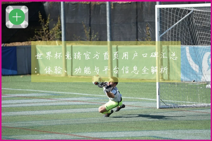世界杯竞猜官方首页用户口碑汇总:体验、功能与平台信息全解析